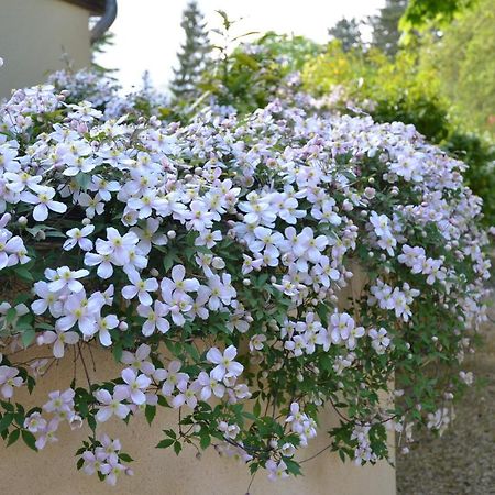 지베르니 Le Clos Fleuri B&B 외부 사진
